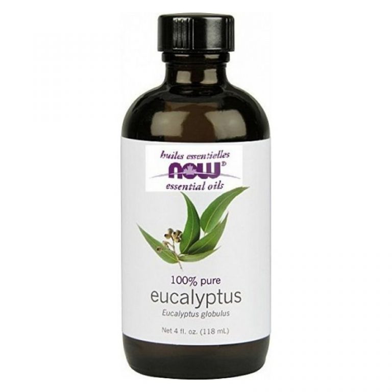 Eucalyptus Oil – ShopAlive.ca